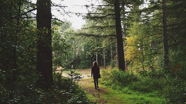 Woman I Forest Woman I Forest